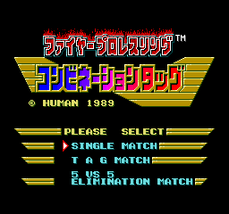 Fire Pro Wrestling - Combination Tag title screen